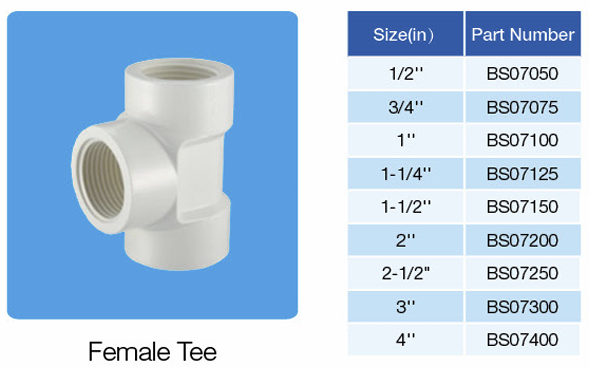 Female Tee