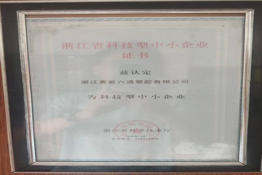 六通塑胶2000大事记